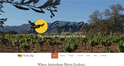 Desktop Screenshot of condorshope.com